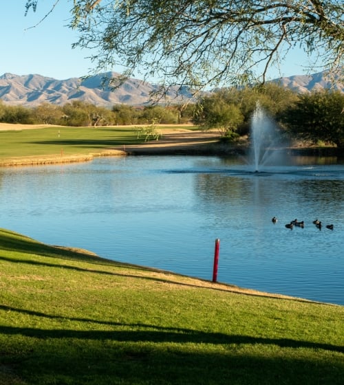 A green at Mountain Shadows in Phoenix