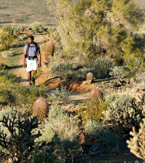 A man hiking in Arizona